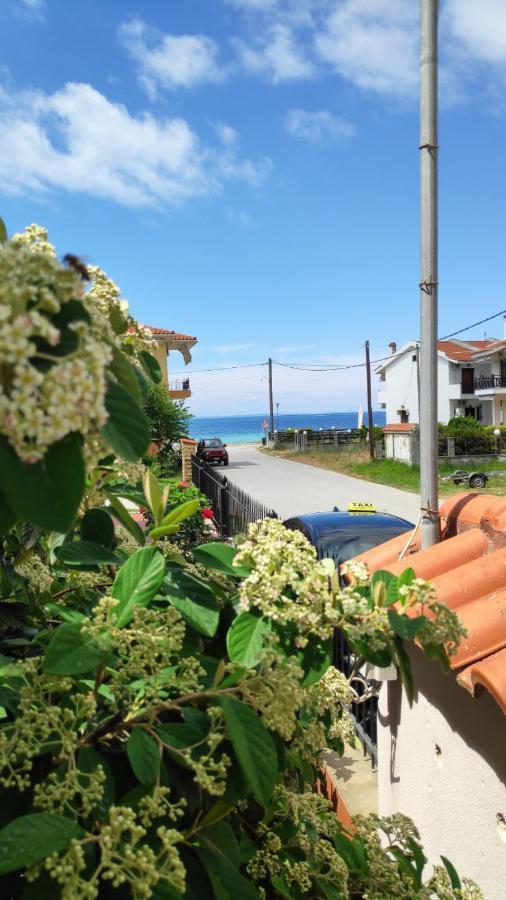 Amber Blue Villa Nikiti  Exterior photo